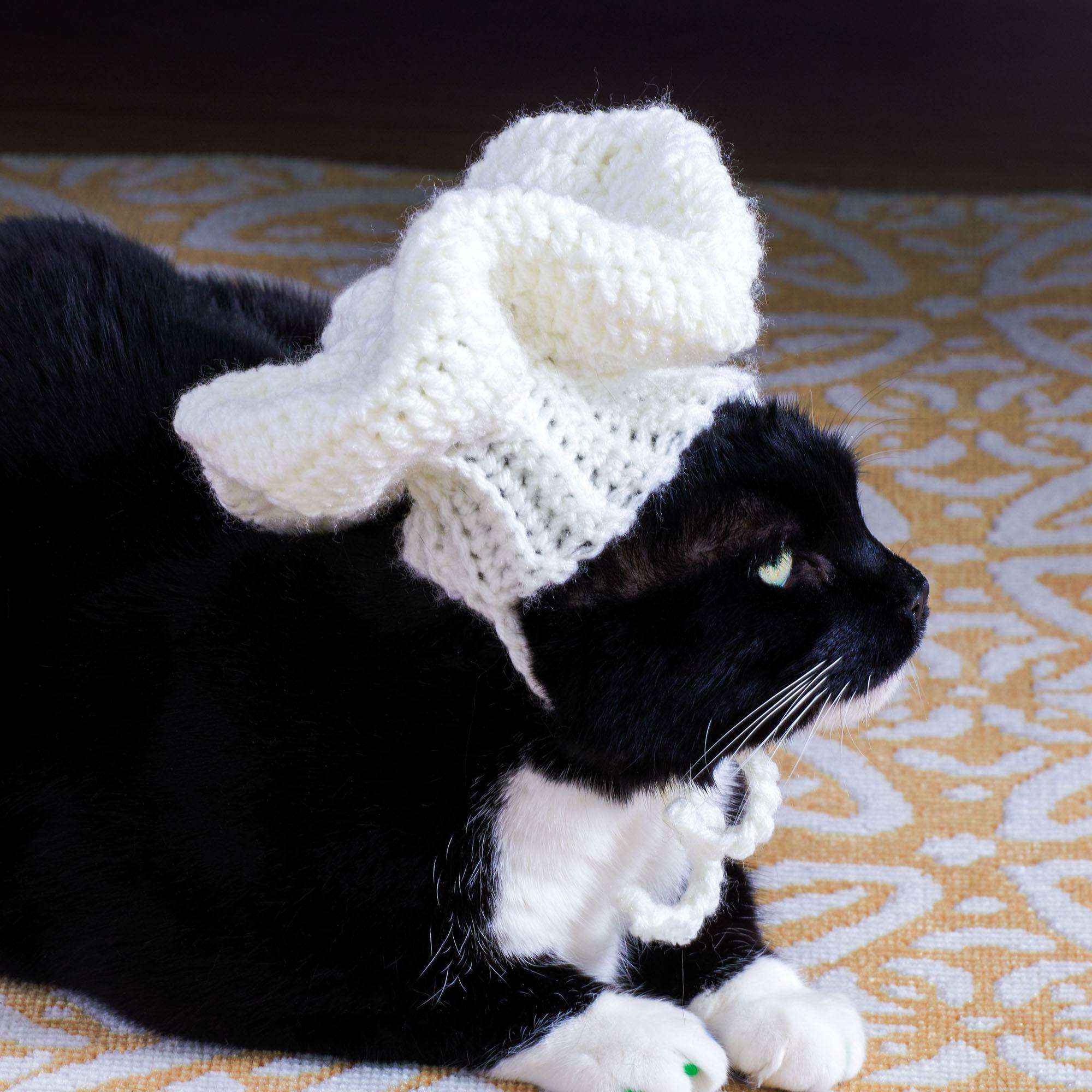 de Chef para Gato a Crochet PATRÓN GRATIS - Crochetisimo