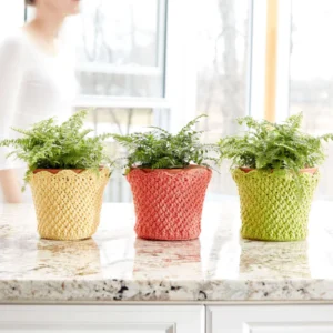Cesta Con Bordes Patrón en Crochet Gratis