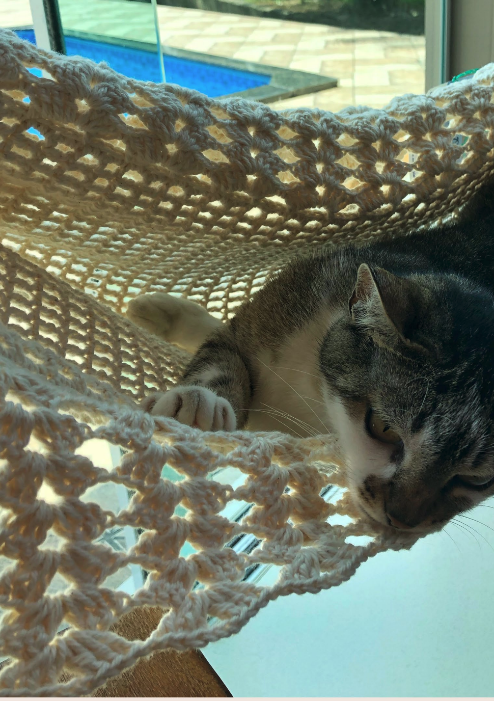 ¡El Lugar Favorito de tu Gato! Hamaca en Crochet Patrón