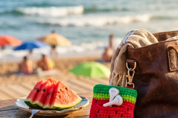 Funda para Auriculares de Sandía a Crochet (Patrón Gratis)🍉