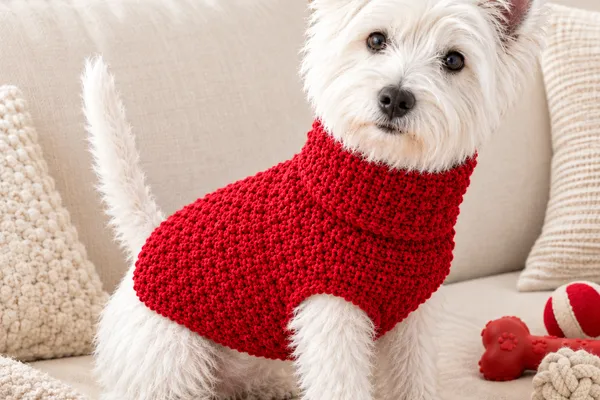 ¡Tu perro amará esto! Abrigo a crochet paso a paso (Patrón gratis)